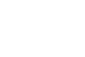 logodipwhitescenter
