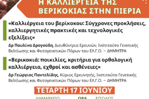 ΕΝΗΜΕΡΩΤΙΚΗ ΕΚΔΗΛΩΣΗ – ΒΕΡΙΚΟΚΑ – 17-06-2026 – ΑΦΙΣΑ Α3