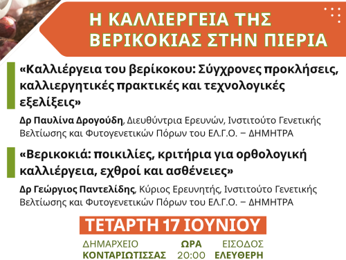 ΕΝΗΜΕΡΩΤΙΚΗ ΕΚΔΗΛΩΣΗ - ΒΕΡΙΚΟΚΑ - 17-06-2026 - ΑΦΙΣΑ Α3